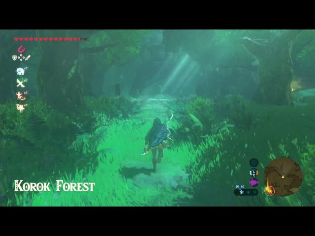 The Legend of Zelda: Breath of the Wild - How to get through the Lost Woods (Guide - SPOILERS)