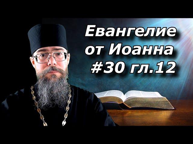 Евангелие от Иоанна. Вход Господень в Иерусалим. Иерархия в РПЦ. Евангелие с Толкованием.