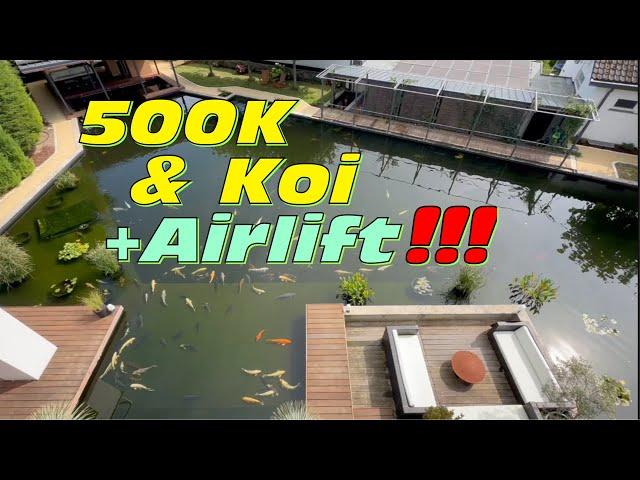 Martin‘s 500000 Liter Koi Teich mit über 500 Koi, betrieben mit Lufthebern und Zysternen!