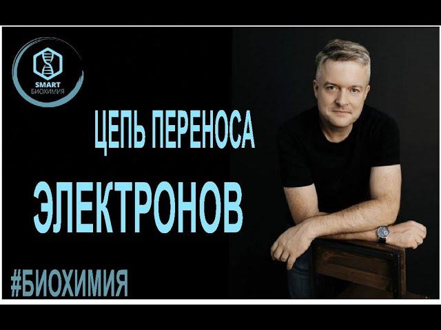 Биохимия: Цепь переноса электронов