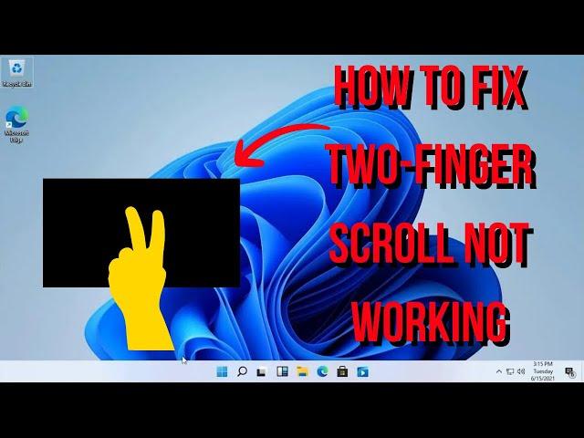 How To Fix Two-Finger Scroll Not Working On Windows 10 / 11