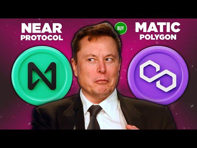 Matic Polygon VS. Near Protocol : Duas Criptomoedas Promissoras!