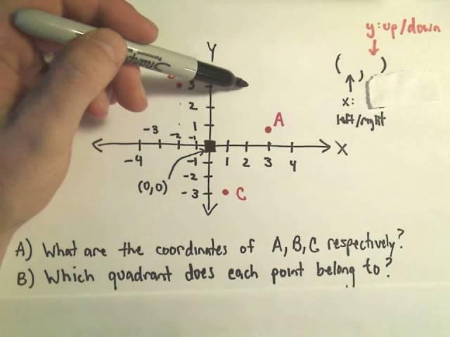 The Cartesian Coordinate System - The Basics!