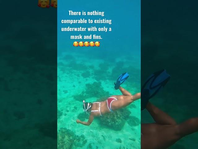 FreeDive more Fun Philippines #love #underwater #freediving #reels #amazing #video #viral #success