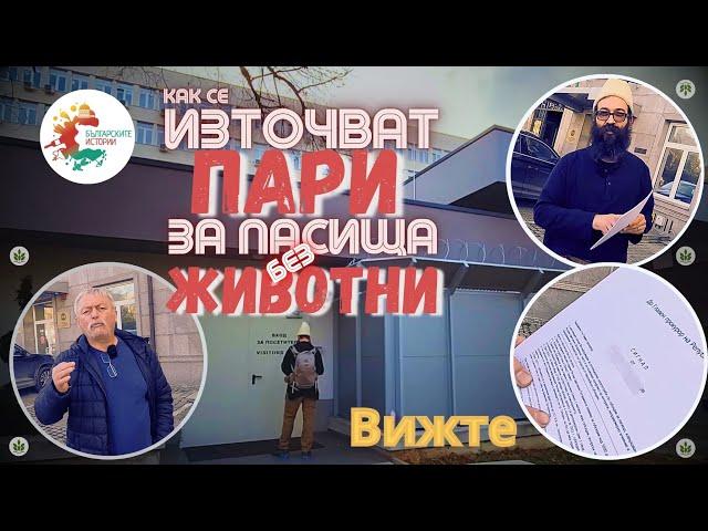 Колко пари може да се източат само с две овце? Повече от милион ли ? От видеото ще разберете