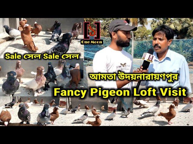 Fancy Pigeon Loft Visit at Howrah Udaynarayanpur || One Moon