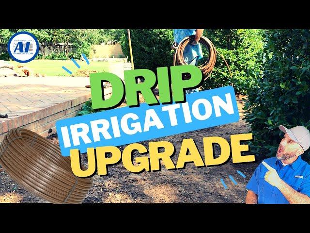 Ditch the Spray Zone and Upgrade to Drip Irrigation | Converting 12" Heads To Drip Irrigation