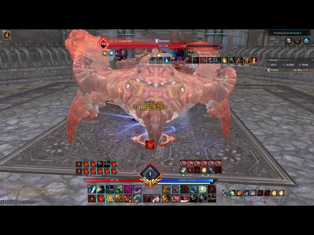 Tera Warrior PVE DPS rotation easy mode