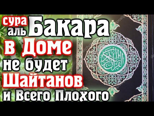  ВКЛЮЧАЙТЕ СУРУ БАКАРА В ДОМЕ НЕ БУДЕТ ШАЙТАНОВ И ВСЕГО ПЛОХОГО - АЛЛАХ ДАЕТ МИЛОСТЬ И ЗАЩИТУ