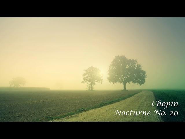 [ 3h Repeat ] 쇼팽(Chopin) _ 녹턴 20번(Nocturne No 20)ㅣ사색ㅣ휴식ㅣ독서 ㅣ백색소음ㅣ