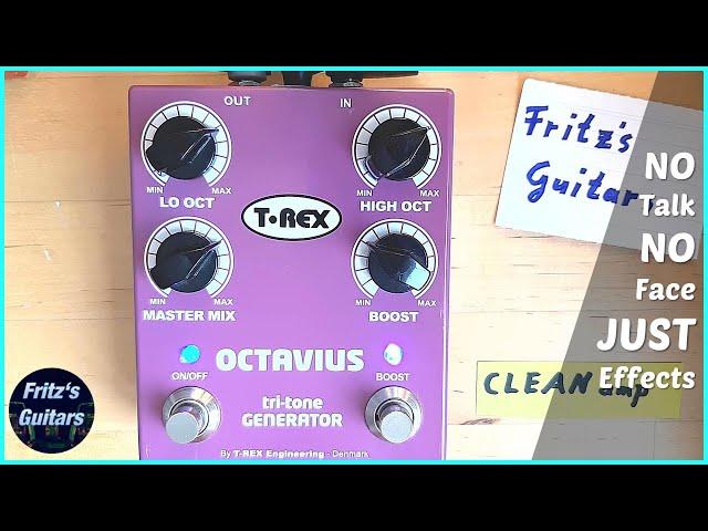 T-REX Octavius TRI-TONE Generator - Octaver + Boost / Clean / Crunch Amp SOUND TONE Demo Review