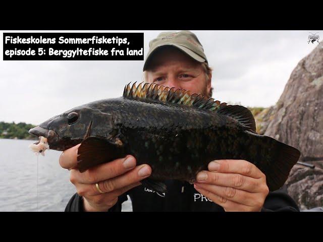 Fiskeskolens Sommerfisketips, episode 5: Berggyltefiske fra land