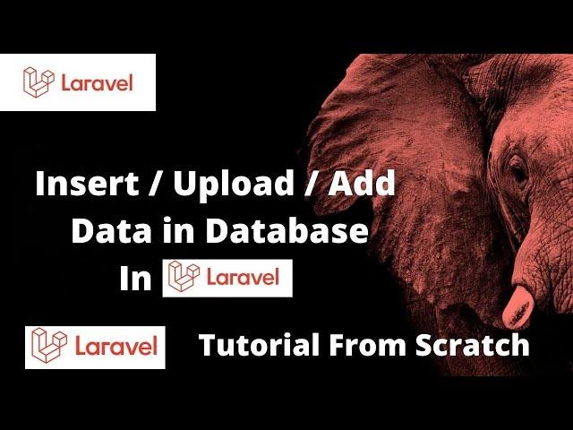 Laravel How To Insert / Upload / Add Data In Database | Laravel Tutorial Step By Step .