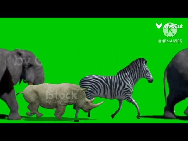 Jumanji animal stampede green screen