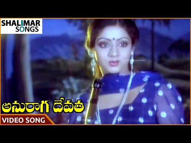 Anuraga Devatha Movie || Choosuko Padhilanga Video Song || NTR, Jayapradha || Shalimar Songs