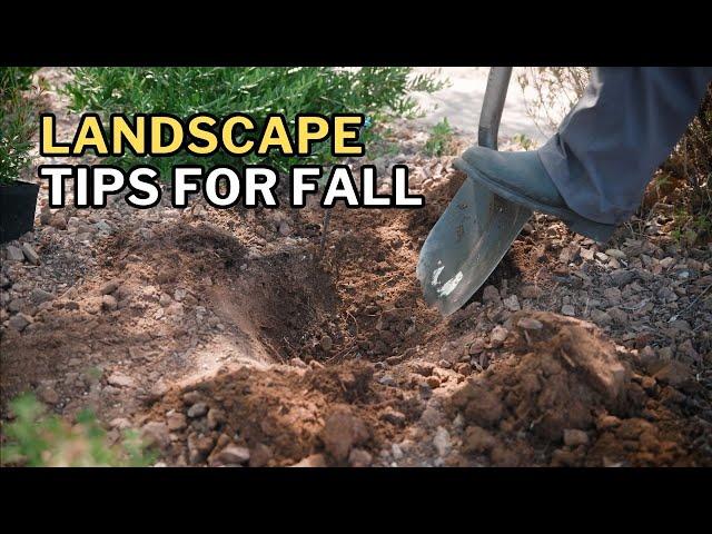 How to Plant Like a Pro: Fall Landscape Tips