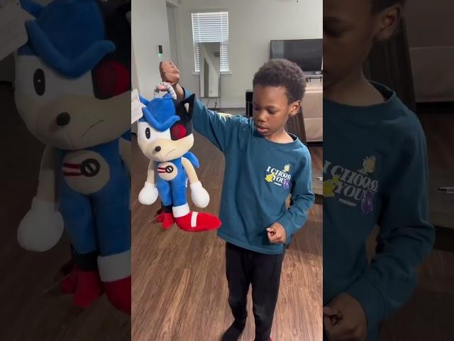 Sonic Fan Art Plushie Unboxing | Budsies©