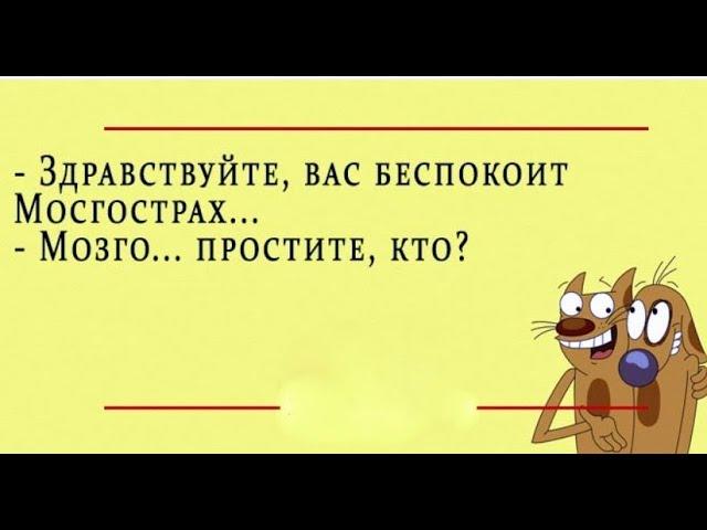 Приколы! Юмор! Шутки! Позитив!Анекдоты—Свежие, Короткие/Юмор дня/