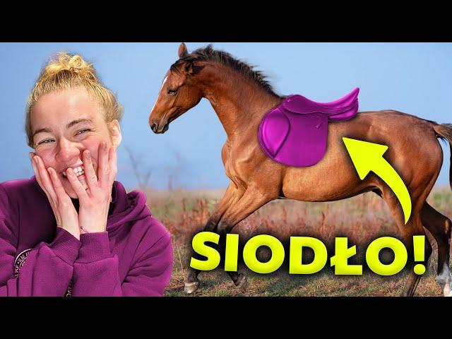 FOALS' FIRST SADDLE?! | Dila smashed her hoof