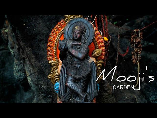 Krishna's Flute | Mooji's Garden