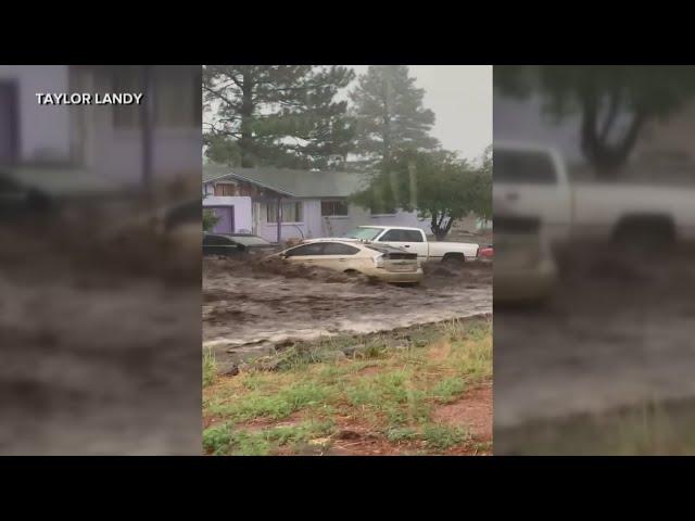 Owner of Prius swept by flash flood describes viral video