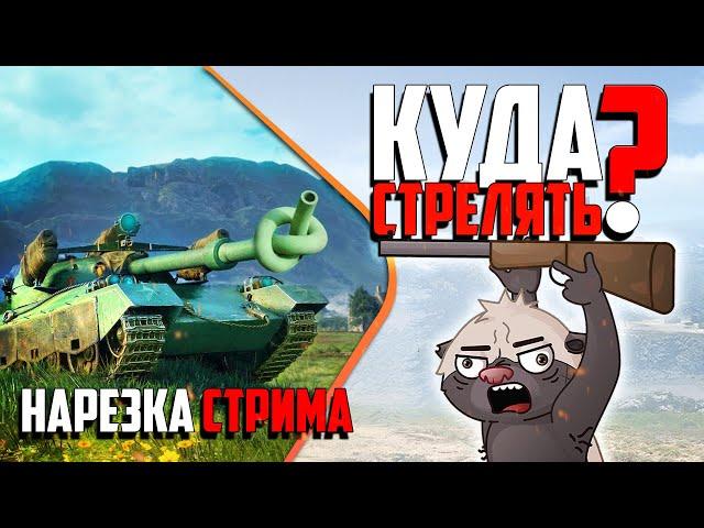 Нарезка стрима | Медоедиха - наводчик, Медоед - мехвод. КОТОПЁС в WoT