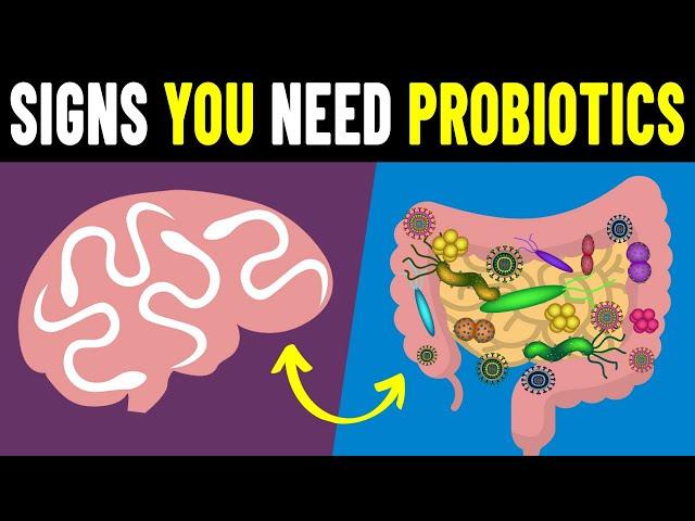 9 Signs You Need To Take Probiotics