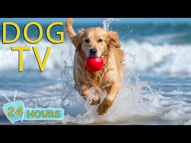 DOG TV: Top Perfect Video Entertain to Help Your Dogs Anti-Anxiety When Home Alone - Music for Dogs