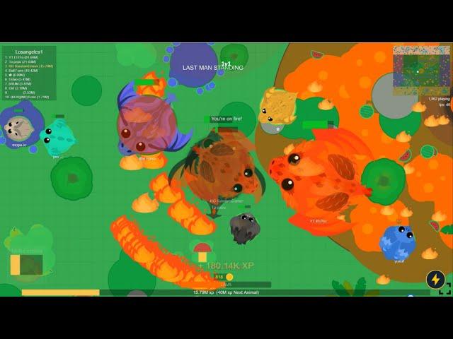 MY FIRST KD HUNT! // I DESTROY A KING DRAGON IN MOPE IO