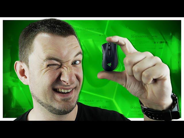 Razer DeathAdder V2 Mini или Viper Mini? ЧТО ПОКУПАТЬ?