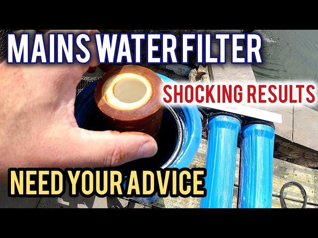 Changing the mains water filter, shocking results #koi #koipond #koifiltration