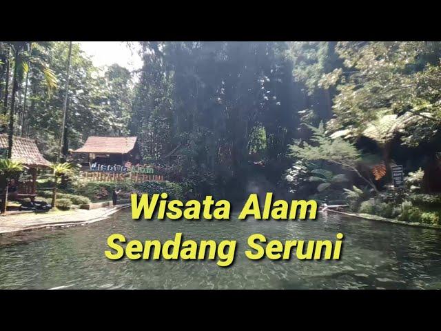 SENDANG SERUNI 2024 ‼️ WISATA ALAM BANYUWANGI