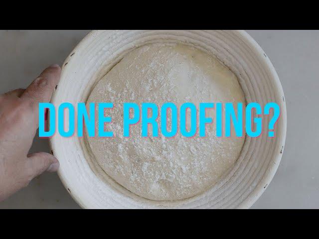 How to Know When Dough is Done Proofing: The Humble Poke Test