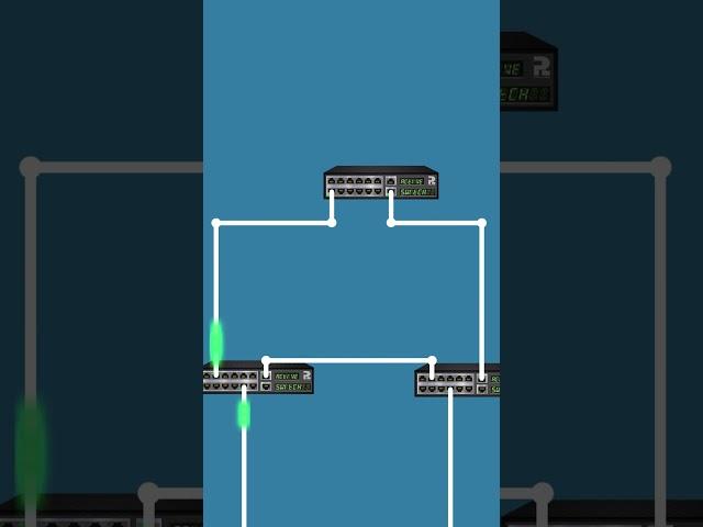 Simple Fact About Spanning Tree Protocol #packetswitching #networkingdevices #networktopology
