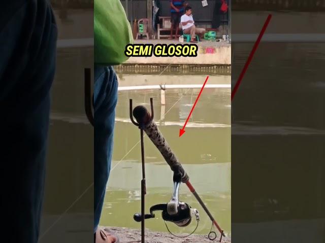 TRIK MANCING IKAN MAS BABON,SEMI GLOSOR #shorts