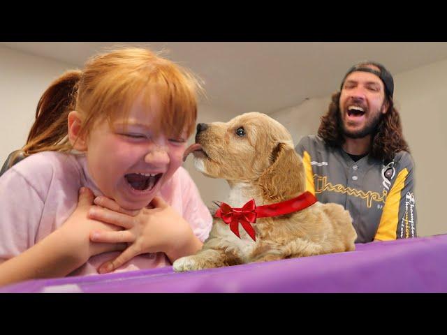 Adley gets a ROBLOX DOG!!  Dance Off with Dad! Playing family and a new pet for my roblox birthday!