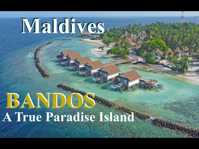 4K | BANDOS ISLAND | ONE OF THE BEST RESORT ISLANDS IN THE MALDIVES | 2023