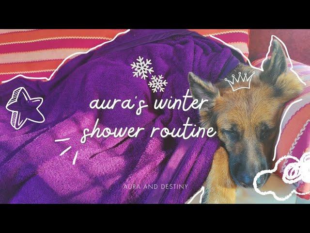 A Day in Life of Our German Shepherd | Winter Shower Routine of My GSD | Doggo Breakfast Recipe