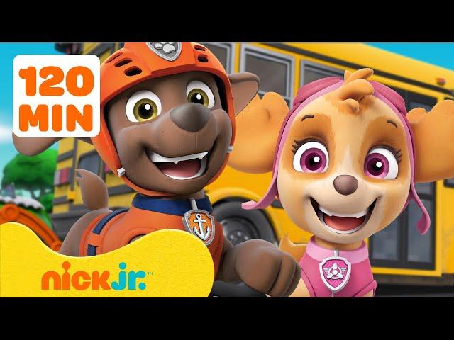 PAW Patrol Back to School Rescues & Adventures!  2 Hours | Nick Jr.