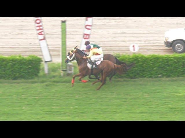 1st Race The Sawat Plate Distance 900 Meters Winner Gift of Gold & Silent Melody