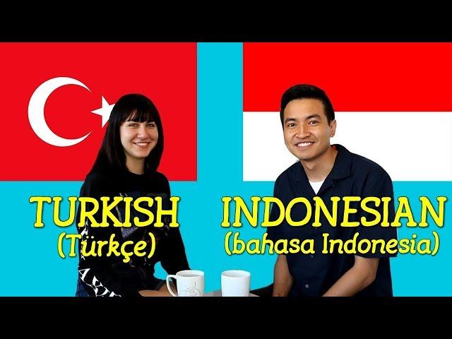 Similarities Between Turkish and Indonesian