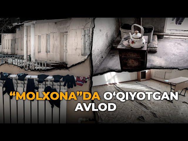 “MOLXONA”DA O'QIYOTGAN AVLOD