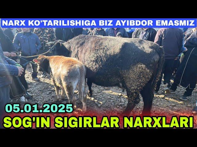 NARXLAR KO'TARILISHIGA BLOGERLAR AYBDOR EMAS SOG'IN SIGIRLAR VA G'UNAJINLAR NARXLARI