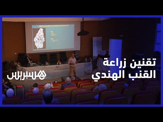 تقنين القنب الهندي.. تحول اقتصاد الكيف من نظام "البزناس" إلى نظام التعاونية والوكالة