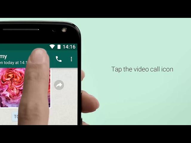 WhatsApp Video Calling Now Available On Tizen Phones | Update WhatsApp From Tizen Store