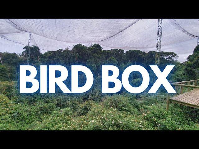 The largest aviary in the world: Birds of Eden on the Garden Route in South Africa (IT'S AWESOME!)