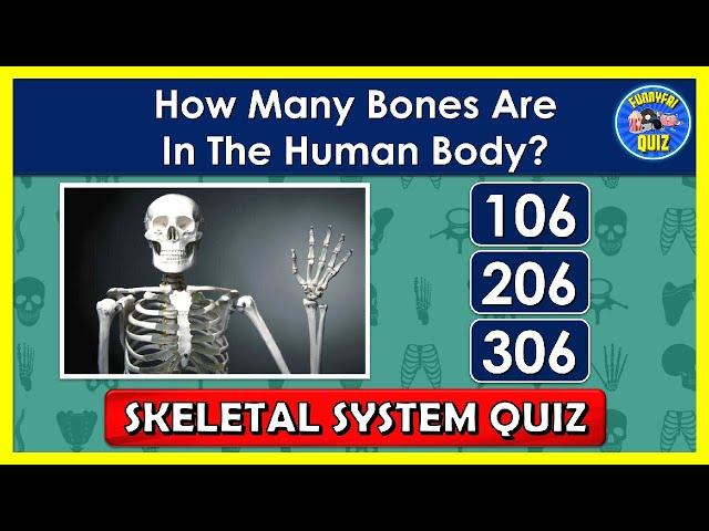 "SKELETAL SYSTEM QUIZ" | How Much Do You Know About the "SKELETAL SYSTEM"? | QUIZ/TRIVIA/QUESTIONS
