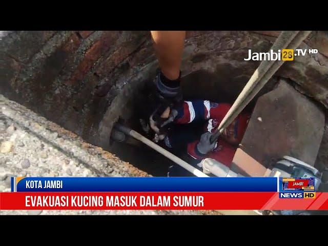 Damkartan Kota Jambi Berhasil Evakuasi Kucing Masuk Sumur