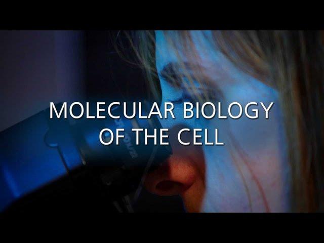 MBC - Master's Degree in Molecular Biology of Cell