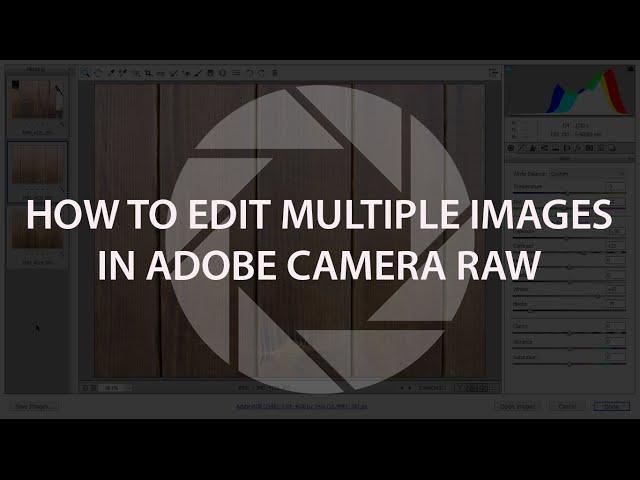 How to Edit Multiple Images in Adobe Camera Raw